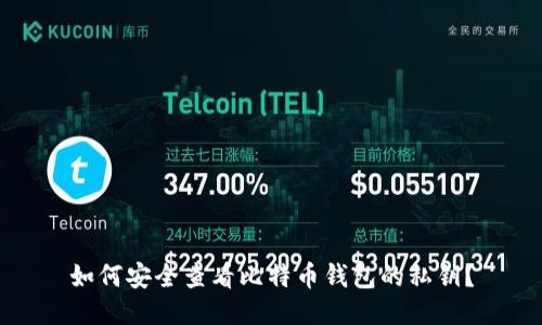 如何安全查看比特币钱包的私钥？
