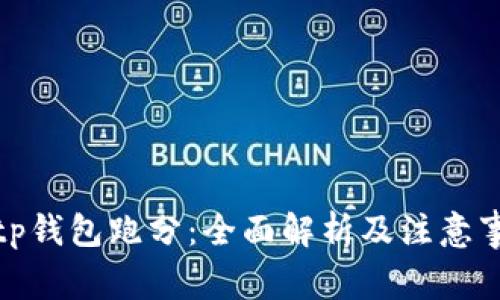 : tp钱包跑分：全面解析及注意事项