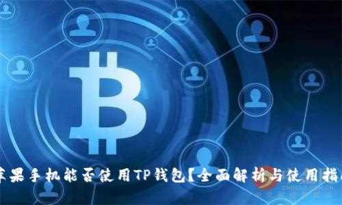 苹果手机能否使用TP钱包？全面解析与使用指南