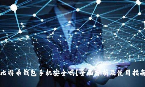 比特币钱包手机安全吗？全面分析及使用指南
