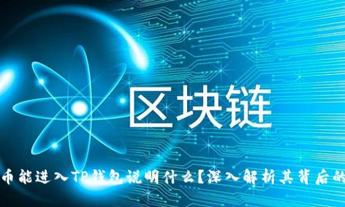虚拟币能进入TP钱包说明什么？深入解析其背后的意义