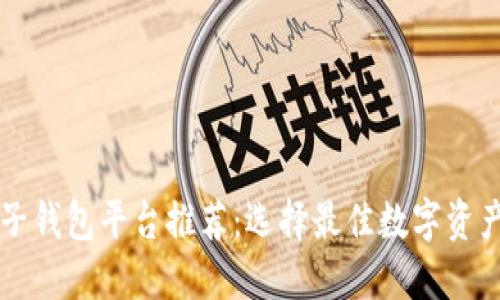 区块链电子钱包平台推荐：选择最佳数字资产管理工具