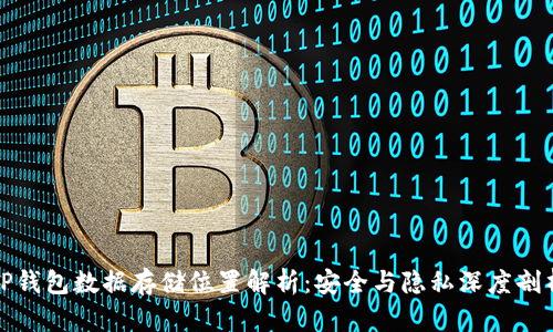 TP钱包数据存储位置解析：安全与隐私深度剖析