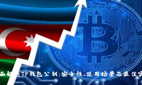 全面解析TP钱包公钥：安全性、使用场景及最佳实践