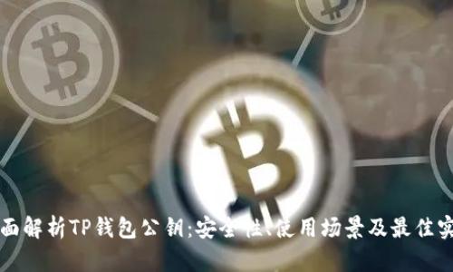全面解析TP钱包公钥：安全性、使用场景及最佳实践