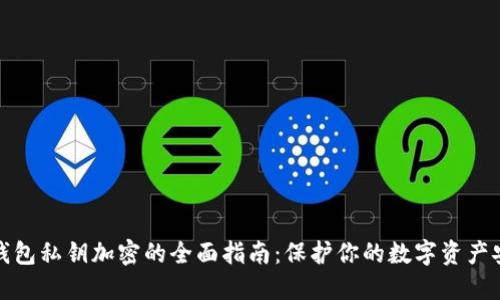 TP钱包私钥加密的全面指南：保护你的数字资产安全