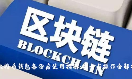 比特币钱包备份后使用指南：安全与操作全解析