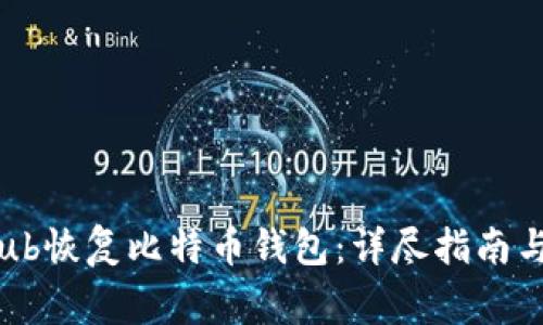 如何通过GitHub恢复比特币钱包：详尽指南与常见问题解答