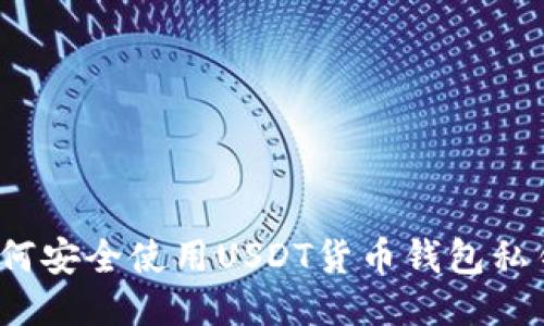 如何安全使用USDT货币钱包私钥？