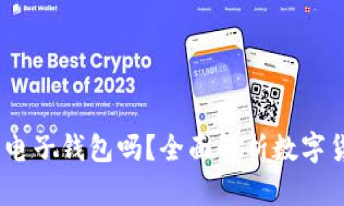 USDT可以存到电子钱包吗？全面解析数字货币的存储方式