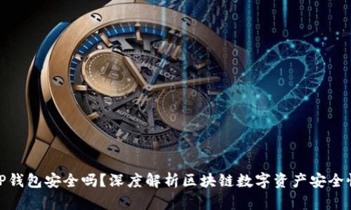 TP钱包安全吗？深度解析区块链数字资产安全性