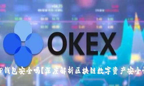 TP钱包安全吗？深度解析区块链数字资产安全性