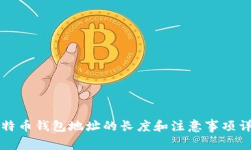 比特币钱包地址的长度和注意事项详解