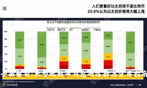 全面解析：大型比特币钱包的选择与使用指南