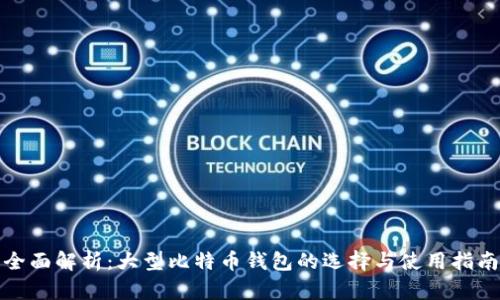 全面解析：大型比特币钱包的选择与使用指南