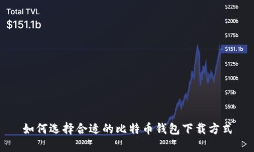 如何选择合适的比特币钱包下载方式