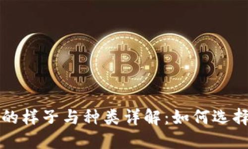 比特币钱包的样子与种类详解：如何选择合适的钱包