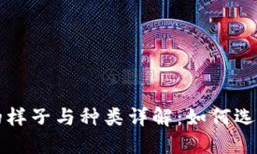 比特币钱包的样子与种类详解：如何选择合适的钱包