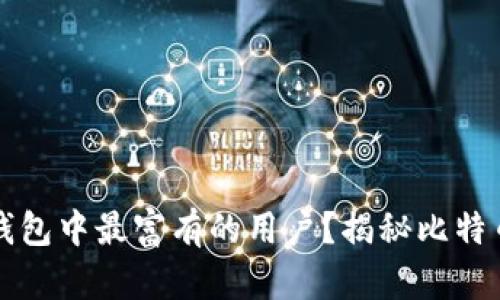 谁是比特币钱包中最富有的用户？揭秘比特币财富的背后