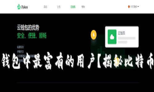 谁是比特币钱包中最富有的用户？揭秘比特币财富的背后