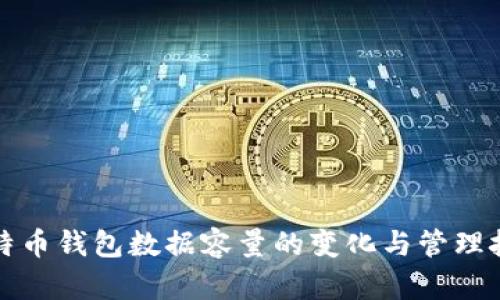 比特币钱包数据容量的变化与管理技巧