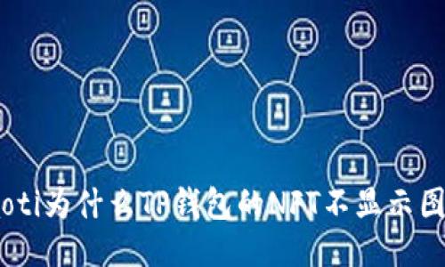 riaoti为什么TP钱包的NFT不显示图片？