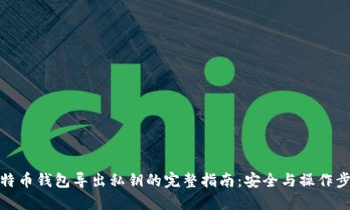 比特币钱包导出私钥的完整指南：安全与操作步骤