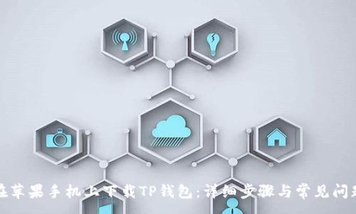 :
如何在苹果手机上下载TP钱包：详细步骤与常见问题解答