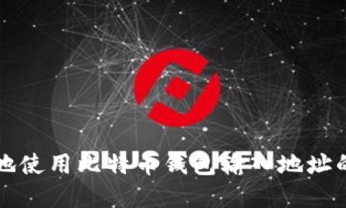 如何安全地使用比特币钱包输入地址的完整指南