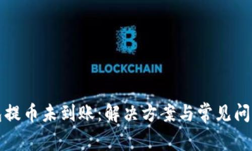 TP钱包提币未到账：解决方案与常见问题解析