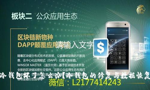 比特币冷钱包坏了怎么办？冷钱包的修复与数据恢复全攻略