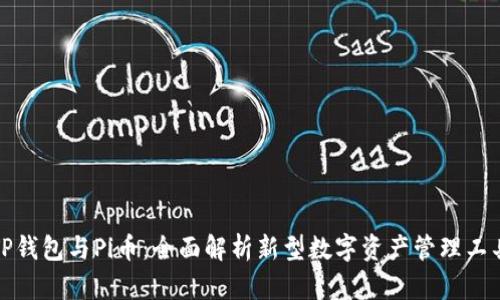 TP钱包与Pi币：全面解析新型数字资产管理工具