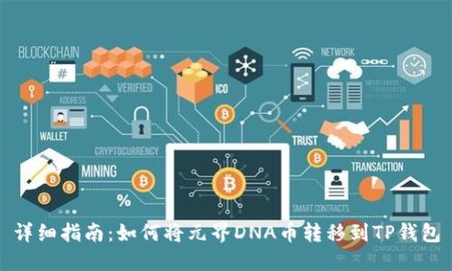 详细指南：如何将元界DNA币转移到TP钱包