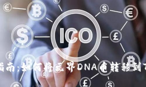 详细指南：如何将元界DNA币转移到TP钱包