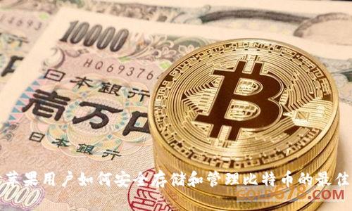 深入探讨苹果用户如何安全存储和管理比特币的最佳钱包选择