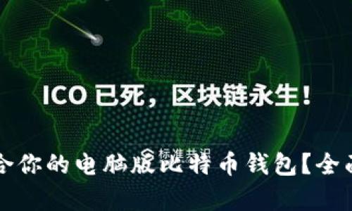 如何选择适合你的电脑版比特币钱包？全面解析与推荐