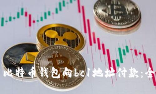 如何使用比特币钱包向bc1地址付款：全方位指南