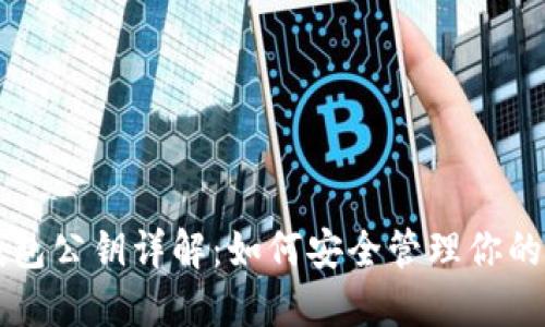 比特币钱包公钥详解：如何安全管理你的数字资产