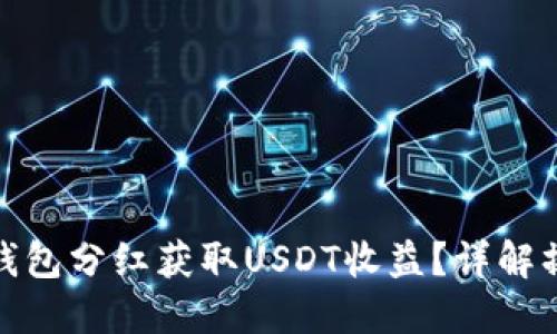 如何通过钱包分红获取USDT收益？详解操作与风险