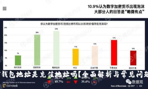 USDT钱包地址是充值地址吗？全面解析与常见问题解答