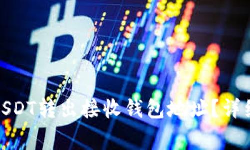 : 如何正确填写USDT转出接收钱包地址？详细指南与注意事项