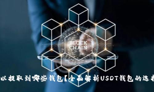 USDT可以提取到哪些钱包？全面解析USDT钱包的选择与使用
