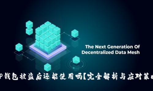 TP钱包被盗后还能使用吗？完全解析与应对策略