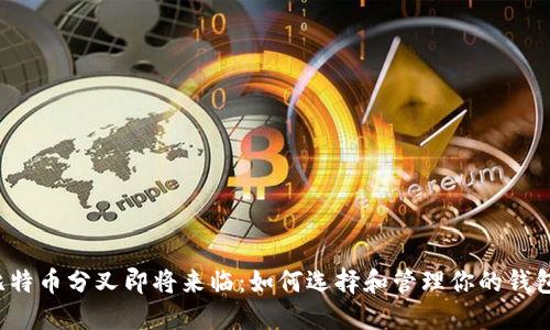 比特币分叉即将来临：如何选择和管理你的钱包？