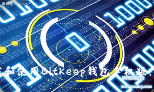 如何下载和使用BitKeep钱包手机版：完整指南