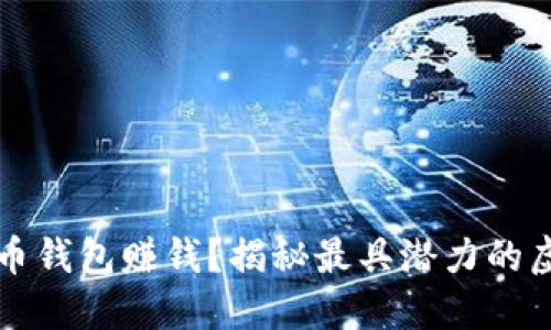 中国用什么虚拟币钱包赚钱？揭秘最具潜力的虚拟货币投资策略