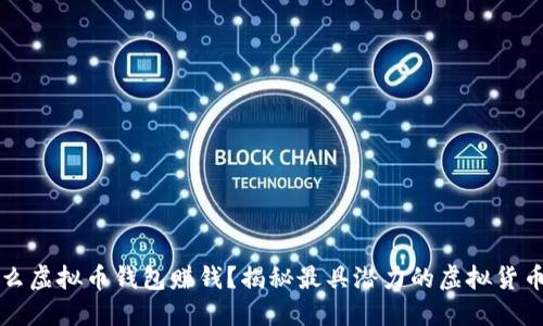 中国用什么虚拟币钱包赚钱？揭秘最具潜力的虚拟货币投资策略