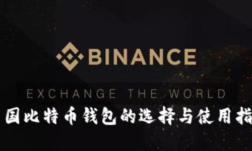 中国比特币钱包的选择与使用指南