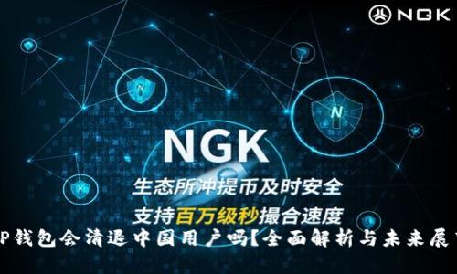TP钱包会清退中国用户吗？全面解析与未来展望