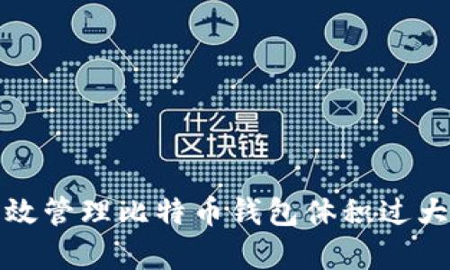 如何有效管理比特币钱包体积过大的问题